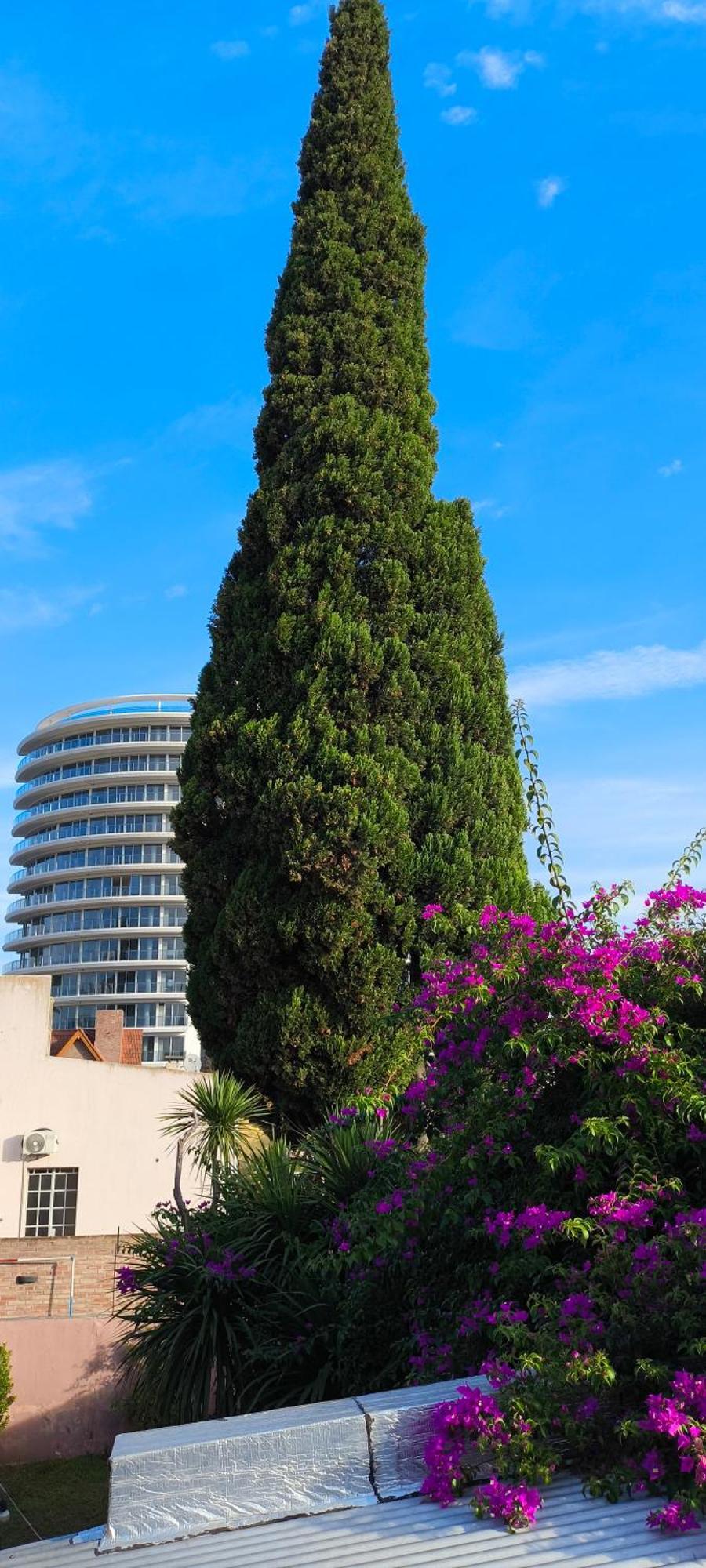 Centro Ii